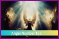 
ANGEL NUMBER 165
