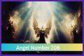 
ANGEL NUMBER 206

