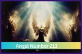
ANGEL NUMBER 213
