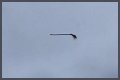 Disturbing video shows floating broom in the middle of the air and the internet is losing its collective mind